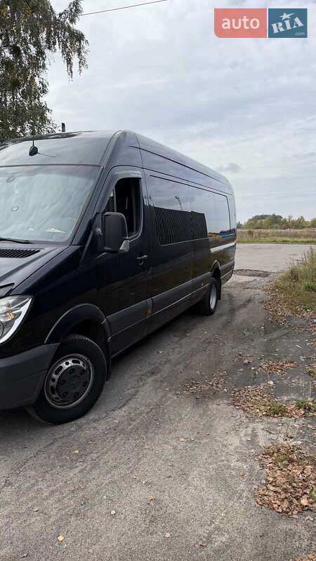 Микроавтобус Mercedes-Benz Sprinter 2010 в Березному