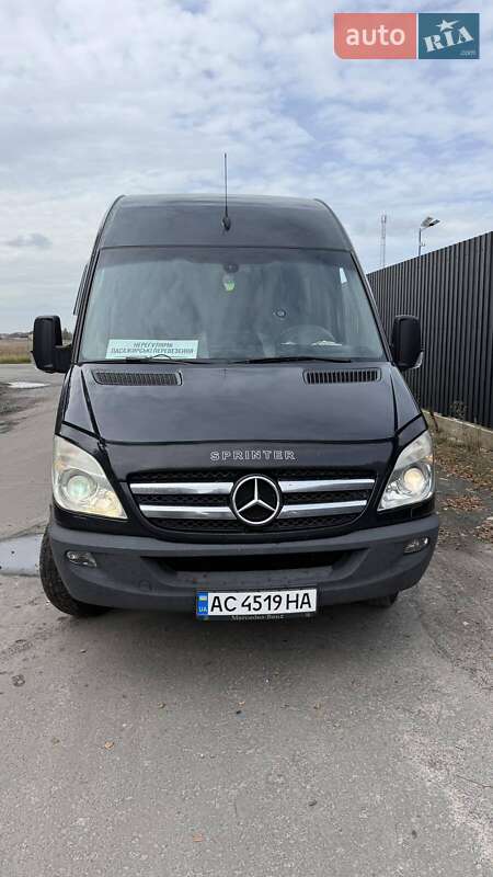 Микроавтобус Mercedes-Benz Sprinter 2010 в Березному