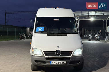 Грузопассажирский фургон Mercedes-Benz Sprinter 2005 в 