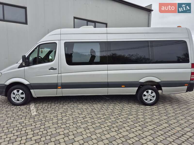 Микроавтобус Mercedes-Benz Sprinter 2009 в 