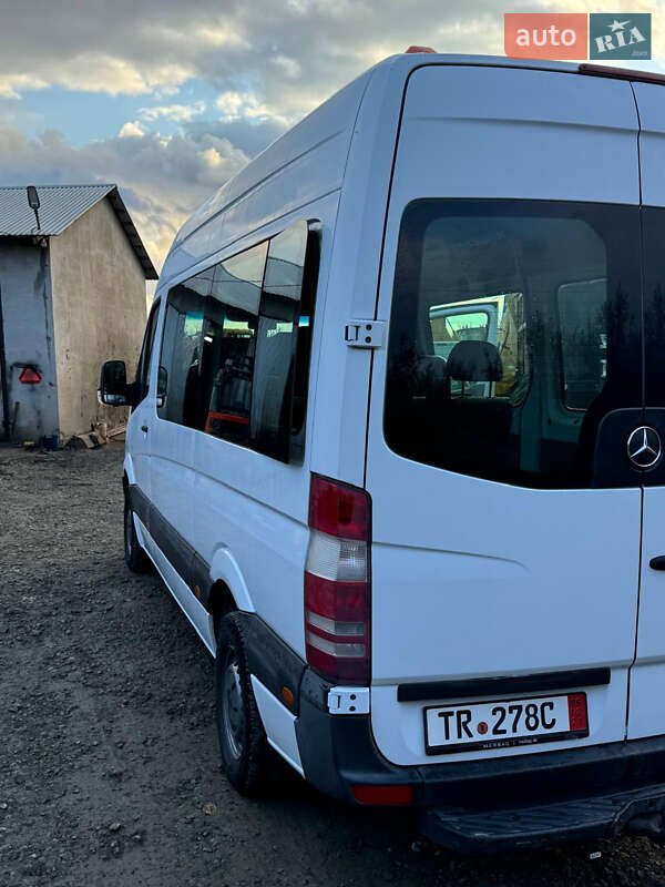 Грузопассажирский фургон Mercedes-Benz Sprinter 2010 в Недобоевцах фото 48 Грузопассажирский фургон Mercedes-Benz Sprinter 2010 в Недобоевцах