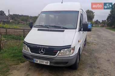 Микроавтобус Mercedes-Benz Sprinter 2006 в 