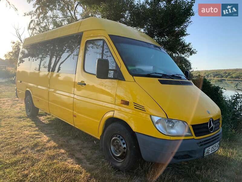 Микроавтобус Mercedes-Benz Sprinter 2004 в Днепре