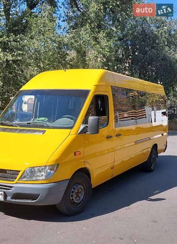 Микроавтобус Mercedes-Benz Sprinter 2004 в Днепре