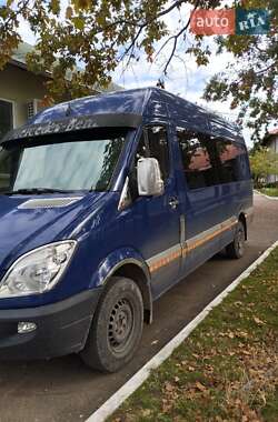 Микроавтобус Mercedes-Benz Sprinter 2007 в 