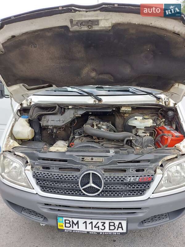 Микроавтобус Mercedes-Benz Sprinter 2005 в Днепре