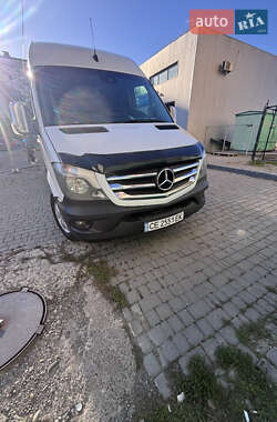 Інша спецтехніка Mercedes-Benz Sprinter 2014 в Чернівцях