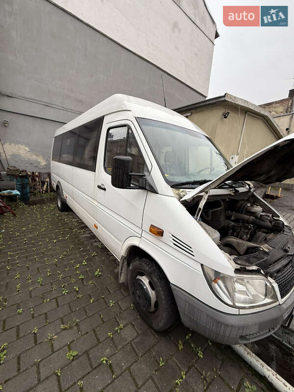 Другие автобусы Mercedes-Benz Sprinter 2008 в Львове фото 29 Другие автобусы Mercedes-Benz Sprinter 2008 в Львове