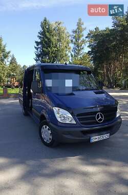 Минивэн Mercedes-Benz Sprinter 2007 в Миргороде