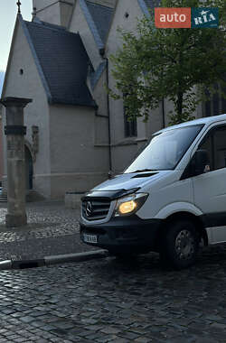 Минивэн Mercedes-Benz Sprinter 2014 в Коломые