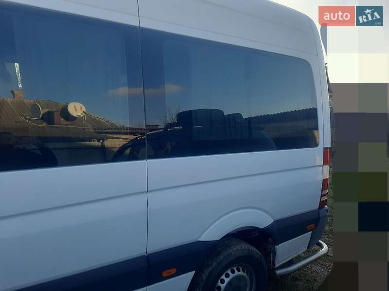 Минивэн Mercedes-Benz Sprinter 2012 в Лубнах
