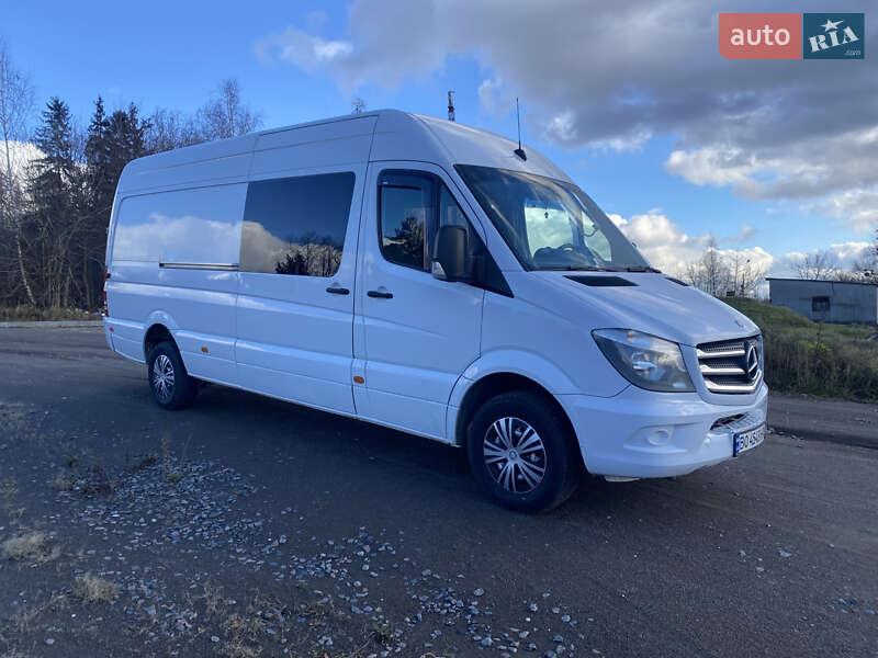 Мікроавтобус Mercedes-Benz Sprinter 2014 в Кременці