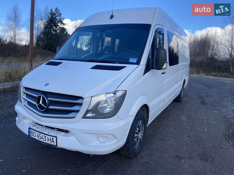Мікроавтобус Mercedes-Benz Sprinter 2014 в Кременці
