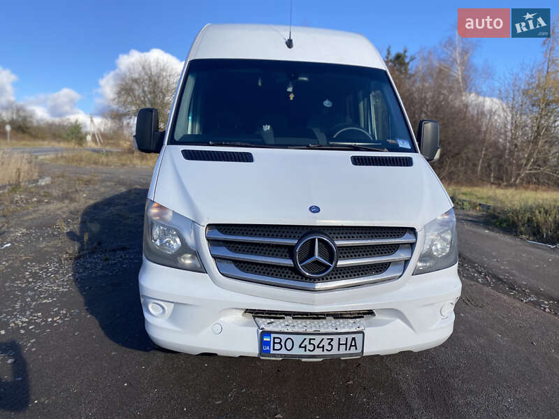 Мікроавтобус Mercedes-Benz Sprinter 2014 в Кременці