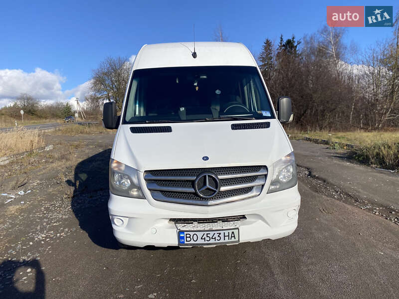 Мікроавтобус Mercedes-Benz Sprinter 2014 в Кременці