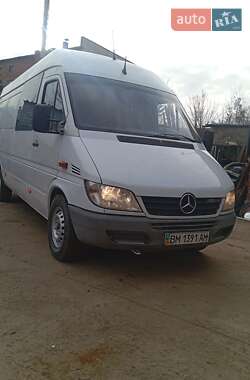 Другие автобусы Mercedes-Benz Sprinter 2004 в Сумах
