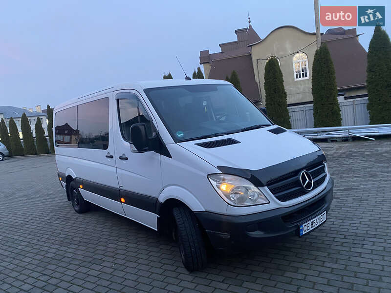 Минивэн Mercedes-Benz Sprinter 2013 в Черновцах