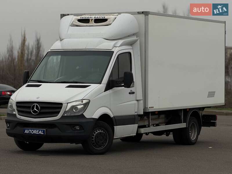 Другие грузовики Mercedes-Benz Sprinter 2014 в Кривом Роге