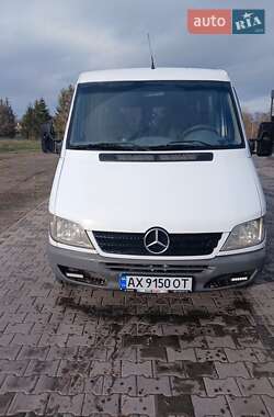 Минивэн Mercedes-Benz Sprinter 2005 в Светловодске