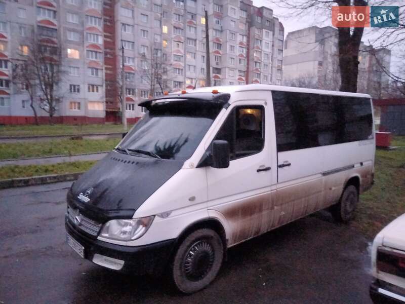 Минивэн Mercedes-Benz Sprinter 2005 в Хмельницком
