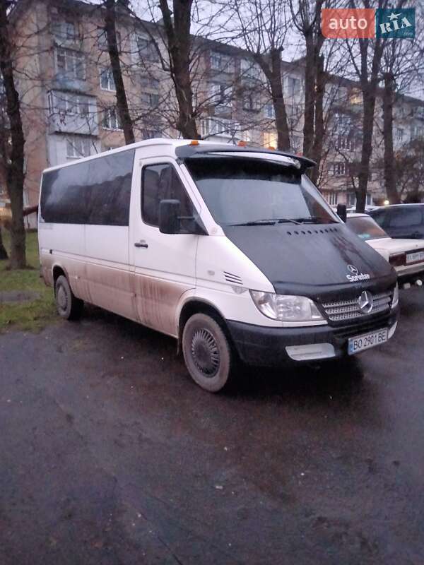 Минивэн Mercedes-Benz Sprinter 2005 в Хмельницком