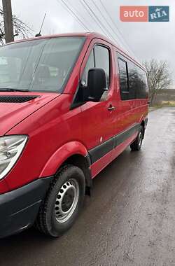 Минивэн Mercedes-Benz Sprinter 2009 в Ровно