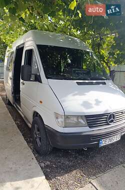Минивэн Mercedes-Benz Sprinter 1999 в Черновцах