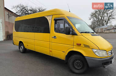 Микроавтобус Mercedes-Benz Sprinter 2003 в Коропе