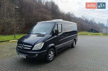 Грузовой фургон Mercedes-Benz Sprinter 2009 в Сваляве