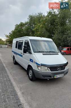 Минивэн Mercedes-Benz Sprinter 2005 в Днепре