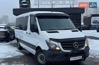 Минивэн Mercedes-Benz Sprinter 2014 в Киеве