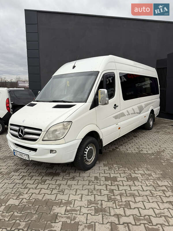 Mercedes-Benz Sprinter 2010