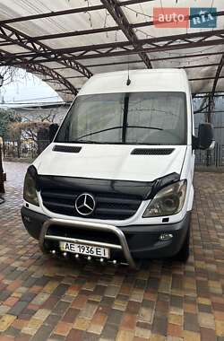 Микроавтобус Mercedes-Benz Sprinter 2007 в Софиевке