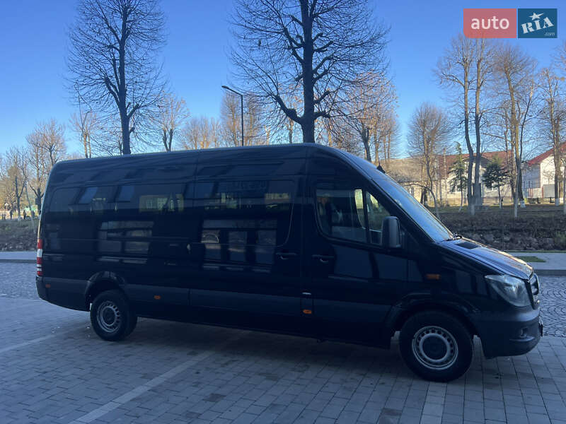 Микроавтобус Mercedes-Benz Sprinter 2017 в Сваляве