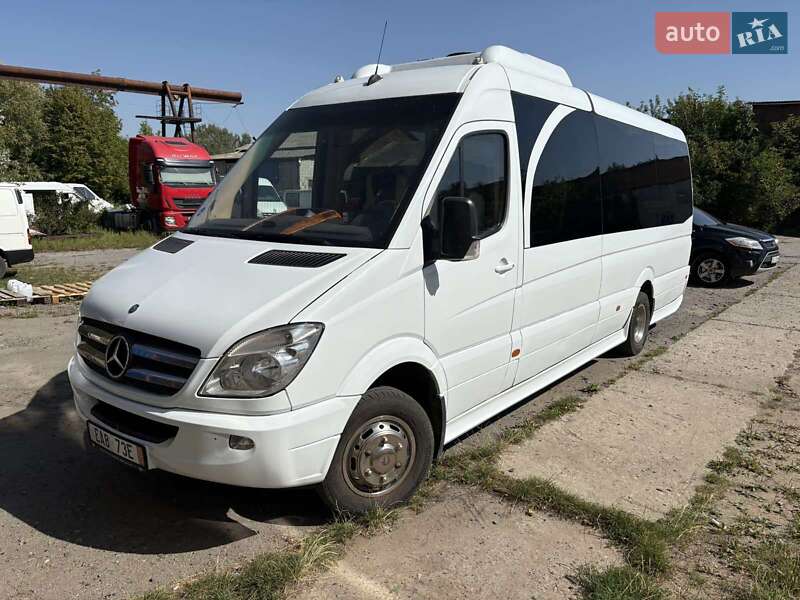 Мікроавтобус Mercedes-Benz Sprinter 2010 в Солотвині