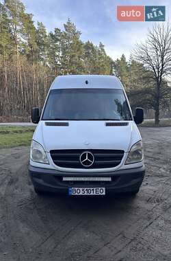 Мінівен Mercedes-Benz Sprinter 2008 в Кременці