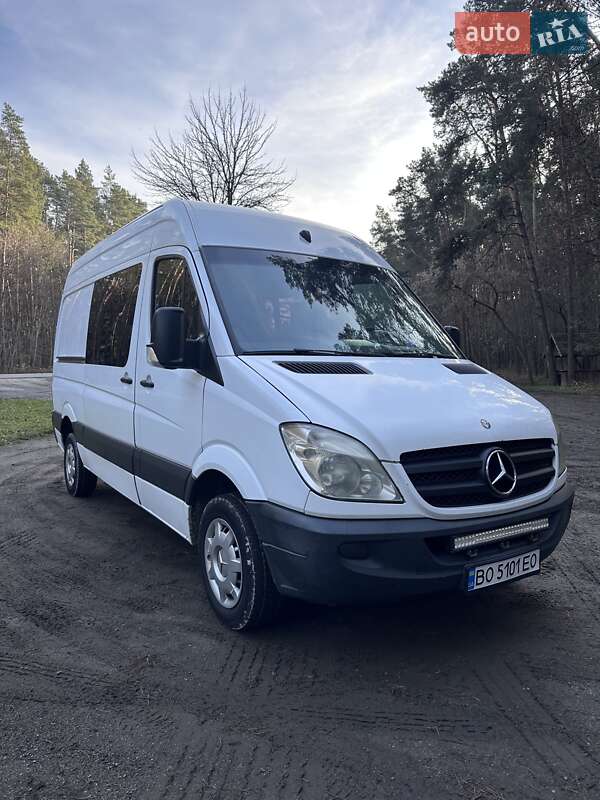 Минивэн Mercedes-Benz Sprinter 2008 в Кременце
