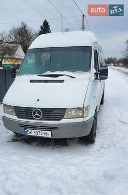 Мікроавтобус Mercedes-Benz Sprinter 1998 в Березному