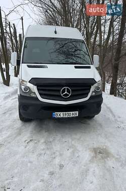 Грузопассажирский фургон Mercedes-Benz Sprinter 2014 в Городке