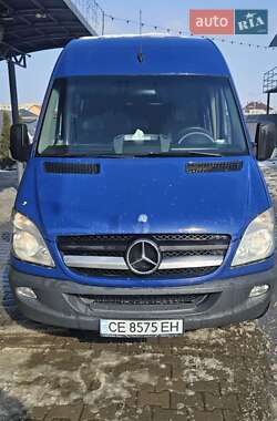 Минивэн Mercedes-Benz Sprinter 2010 в Черновцах