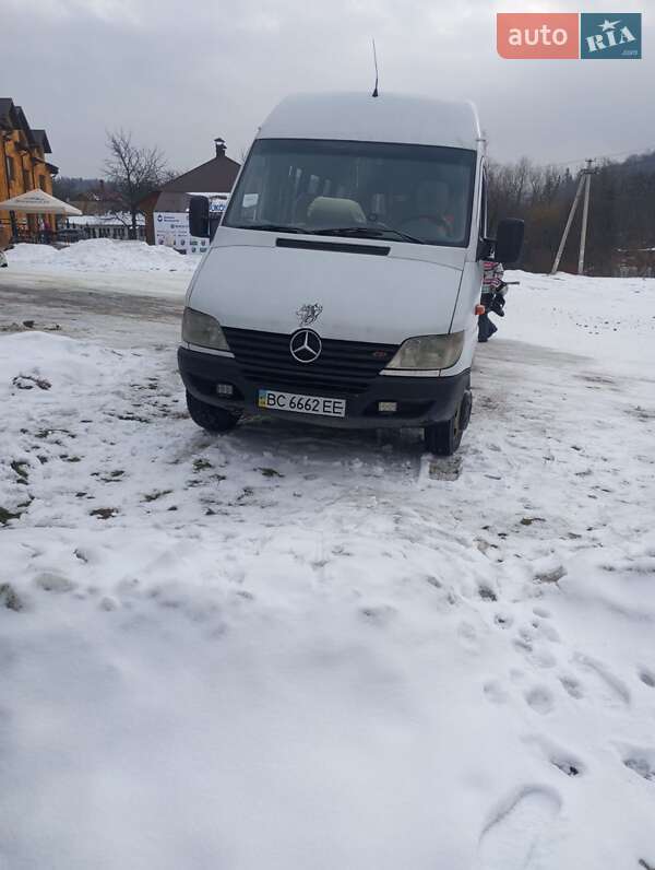Другие автобусы Mercedes-Benz Sprinter 2002 в Стебнику