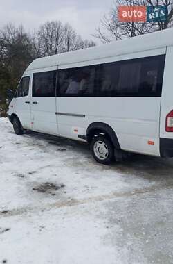 Другие автобусы Mercedes-Benz Sprinter 2002 в Стебнику