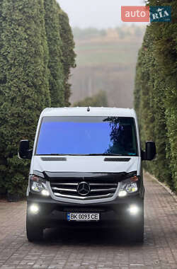 Минивэн Mercedes-Benz Sprinter 2011 в Ровно