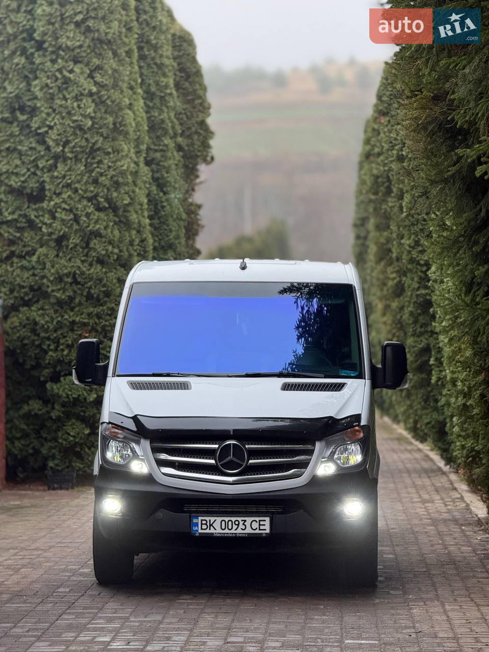 2010 Mercedes-Benz Sprinter - мініатюра 18
