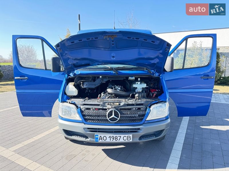 Микроавтобус Mercedes-Benz Sprinter 2006 в Мукачево