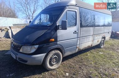 Грузовой фургон Mercedes-Benz Sprinter 2000 в Городенке