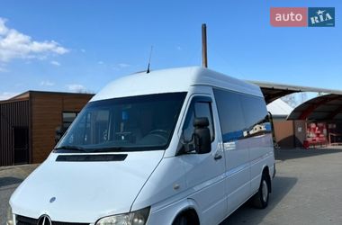 Минивэн Mercedes-Benz Sprinter 2005 в Надворной