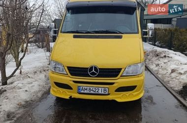 Мікроавтобус Mercedes-Benz Sprinter 2004 в Андрушівці