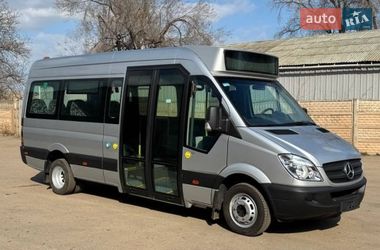 Городской автобус Mercedes-Benz Sprinter 2010 в Кривом Роге