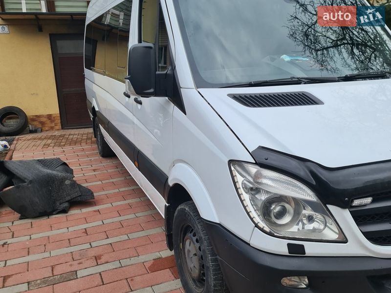 Минивэн Mercedes-Benz Sprinter 2006 в Ужгороде